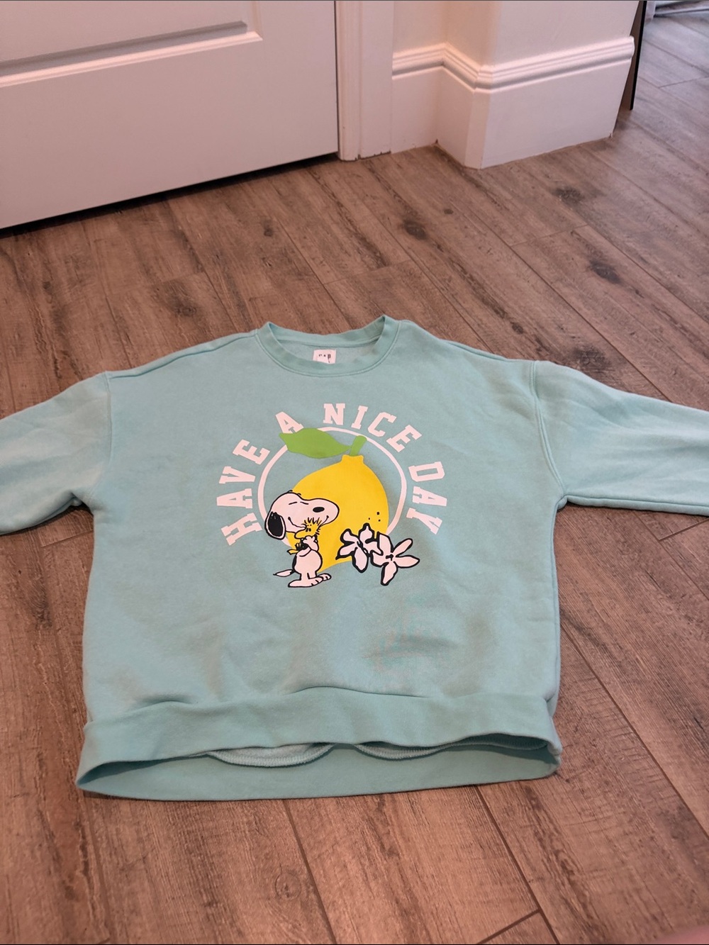 GAP Kids Mint Green Pullover